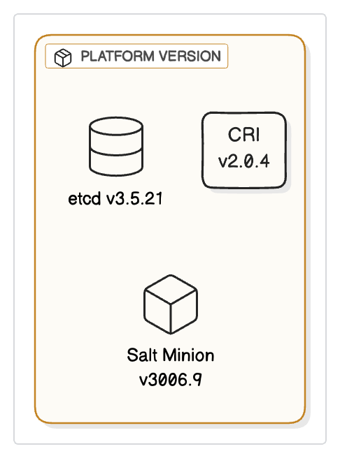 Platform Version