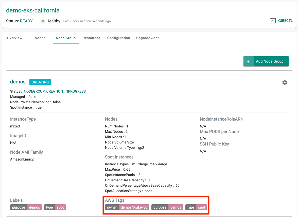 View AWS Tags for Node Group