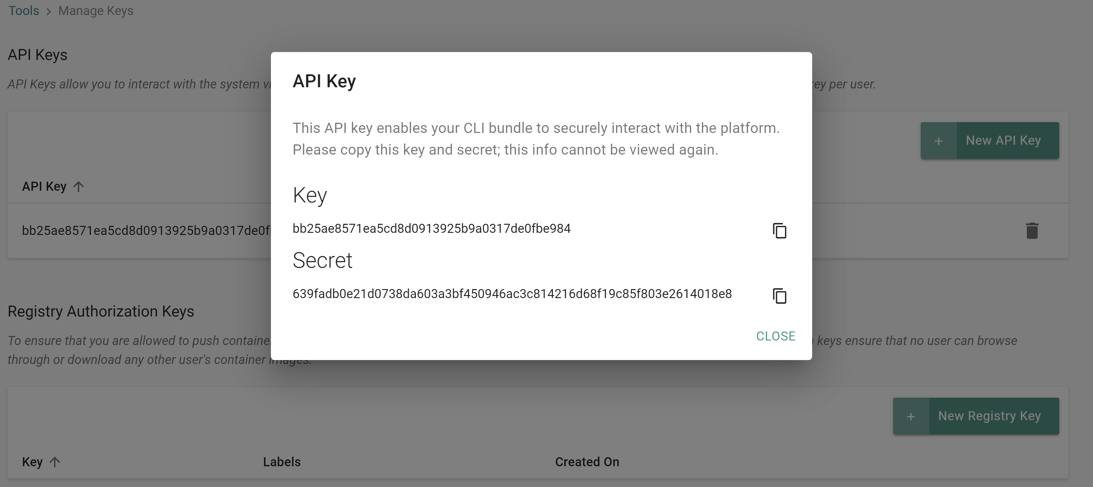 Org API Key
